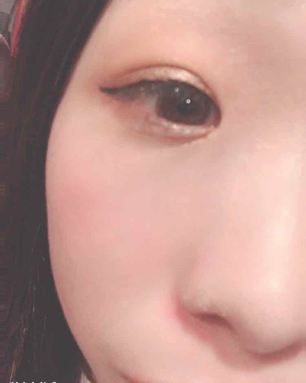 エバーカラーワンデーナチュラル モイストレーベルUV/エバーカラー/ワンデー（１DAY）カラコンを使ったクチコミ（3枚目）