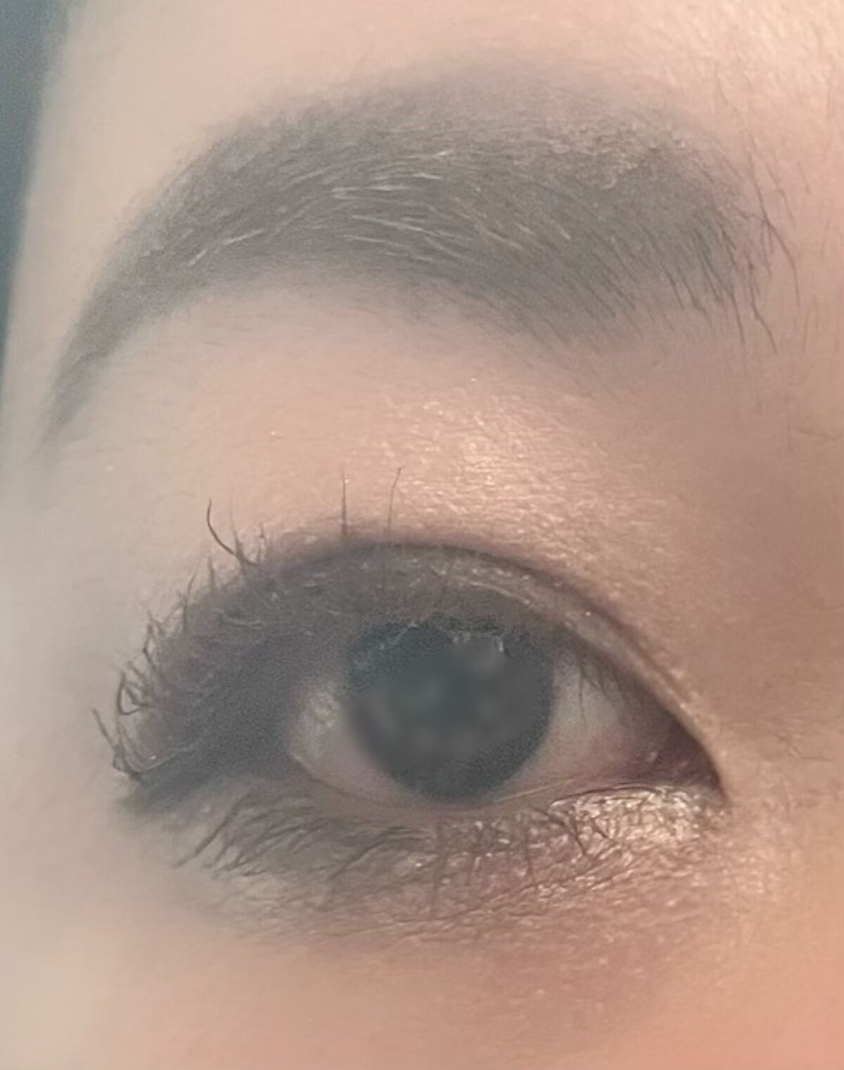 ヴィセ リシェ アイブロウパウダー/Visée/パウダーアイブロウを使ったクチコミ(1枚目)