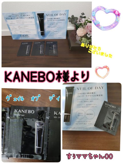 ヴェイル オブ デイ/KANEBO/日焼け止めローションを使ったクチコミ(2枚目)