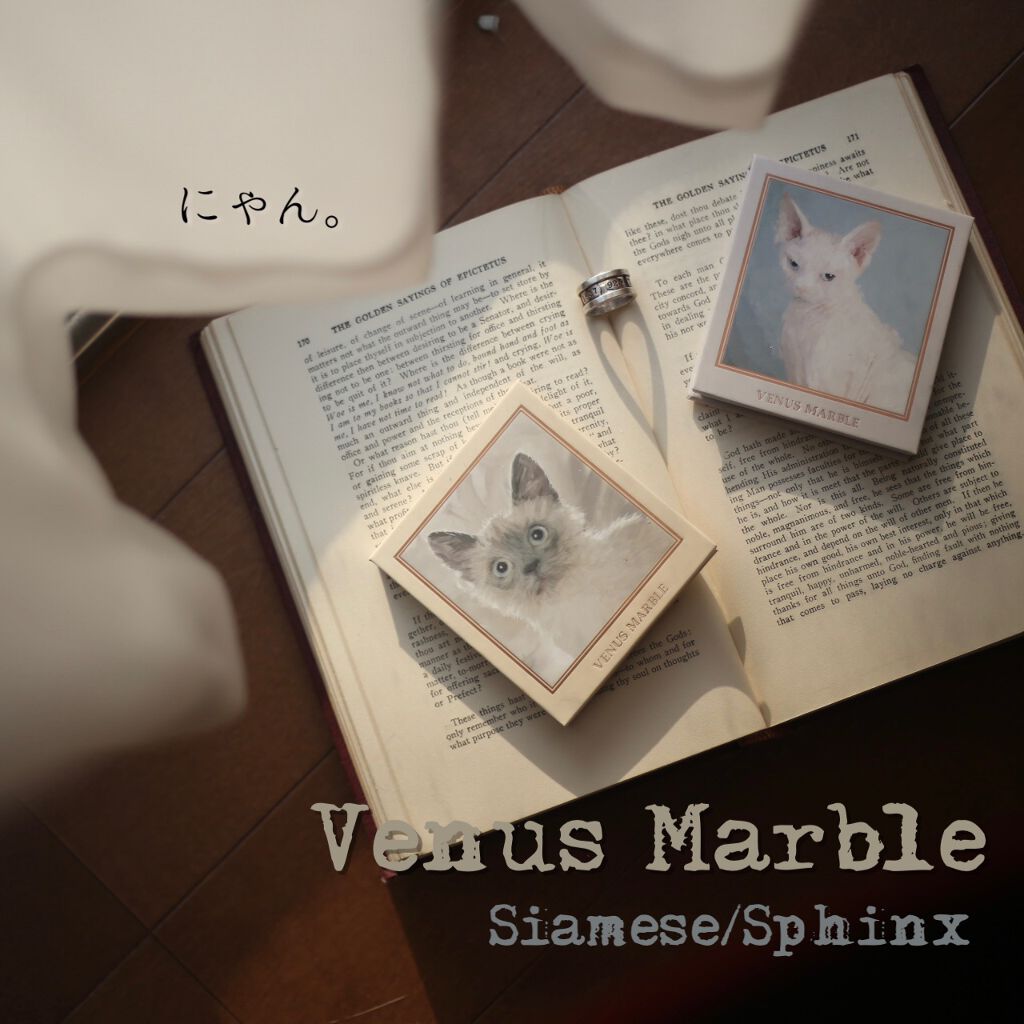 Venus Marble アイシャドウキャットシリーズ/Venus Marble/アイシャドウパレットを使ったクチコミ（1枚目）