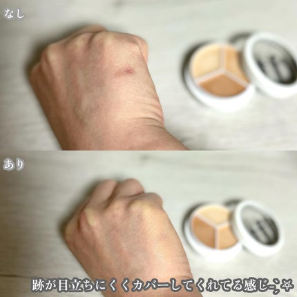 カバーアッププロコンシーラー/TFIT/パレットコンシーラーを使ったクチコミ(4枚目)