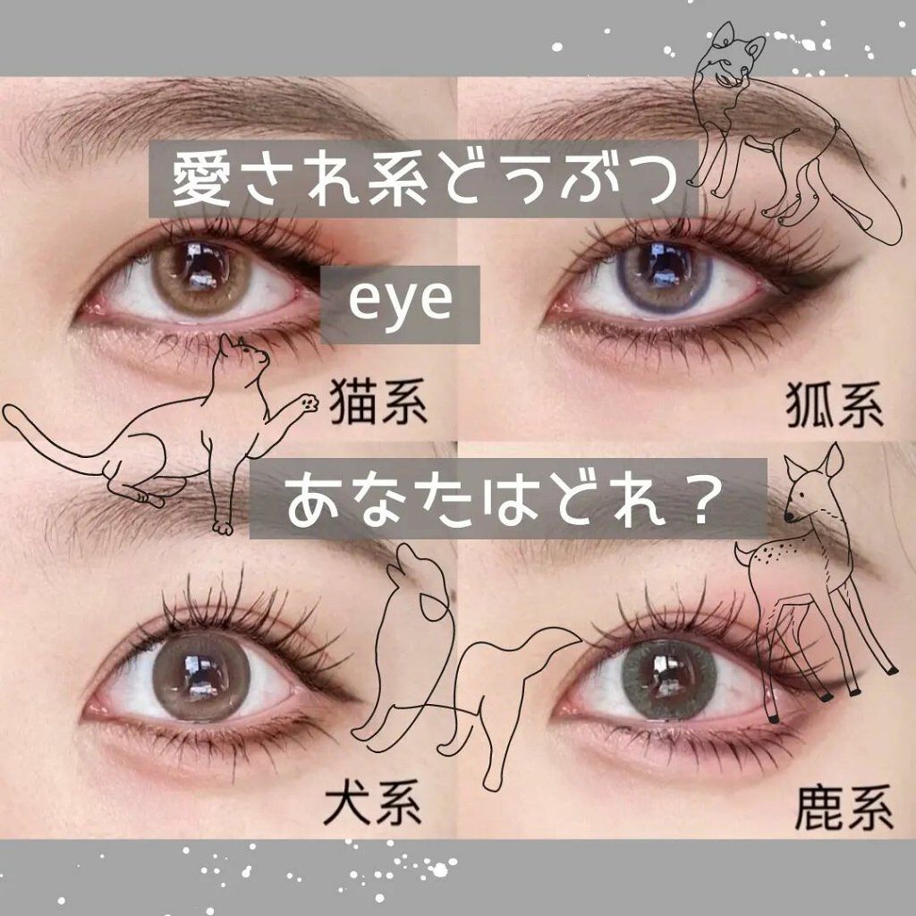 整形メイクちゃん on LIPS 「同じ目でもアイメイクによって別人に?愛され動物を集めたアイメイ..」(1枚目)