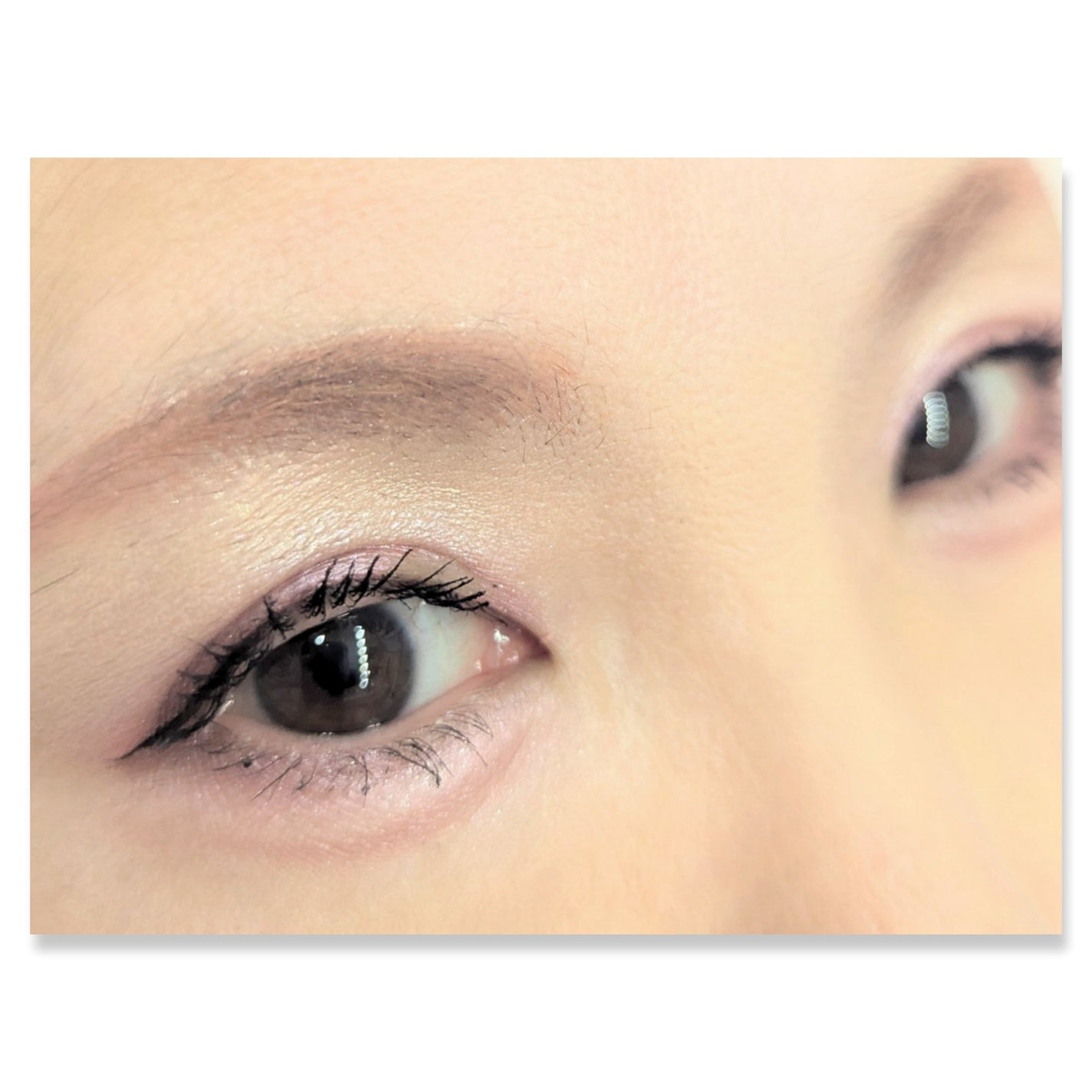 マイキティアイパレット/MilleFée/アイシャドウパレットを使ったクチコミ(2枚目)