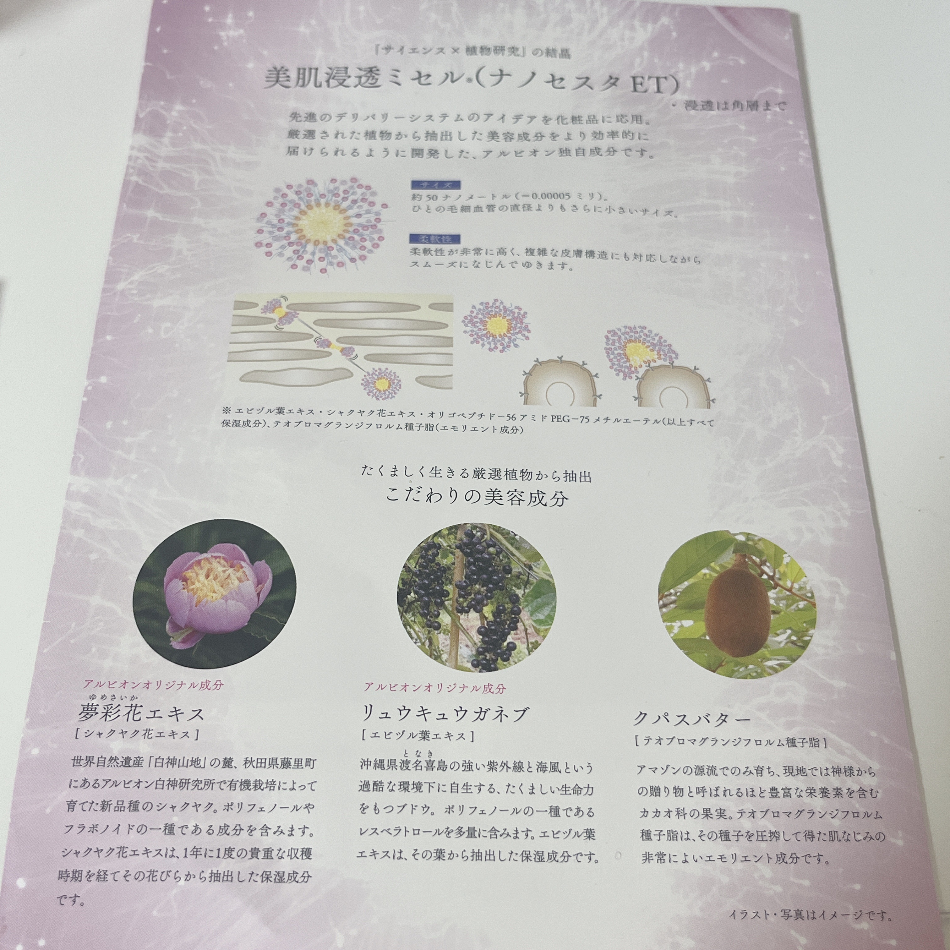 アルビオン エクラフチュール t 30ml/ALBION/美容液を使ったクチコミ（3枚目）