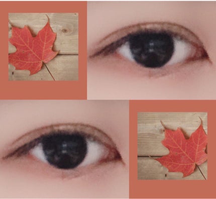 ラブ・ライナー リキッドアイライナーR3/ラブ・ライナー/リキッドアイライナーを使ったクチコミ(2枚目)