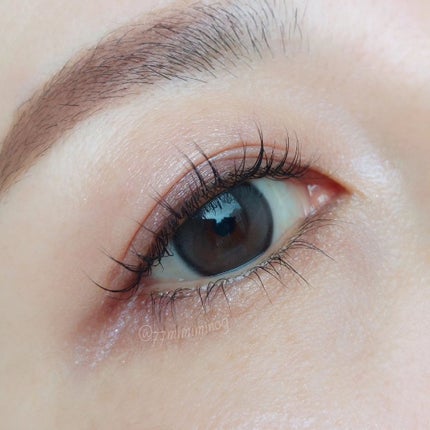 コンスピキュアス アイズ/Amplitude/アイシャドウパレットを使ったクチコミ(2枚目)