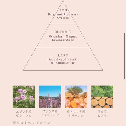 メルト モイストシャンプー/トリートメント/melt/市販シャンプーを使ったクチコミ(3枚目)
