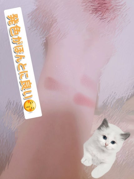 シルキースフレアイズ(マットタイプ)/キャンメイク/アイシャドウパレットを使ったクチコミ(2枚目)