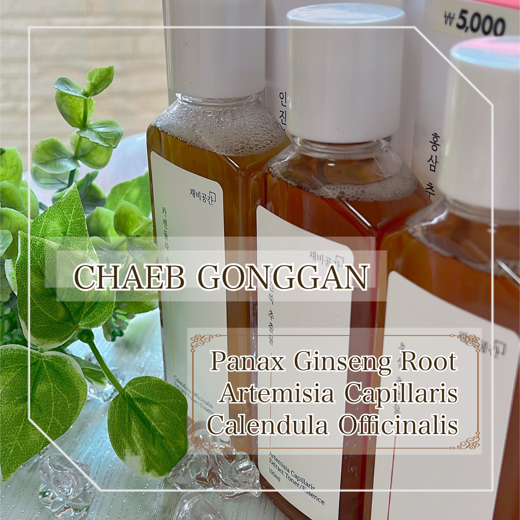 スキンケアトナー/CHAEB GONGGAN/化粧水を使ったクチコミ（1枚目）