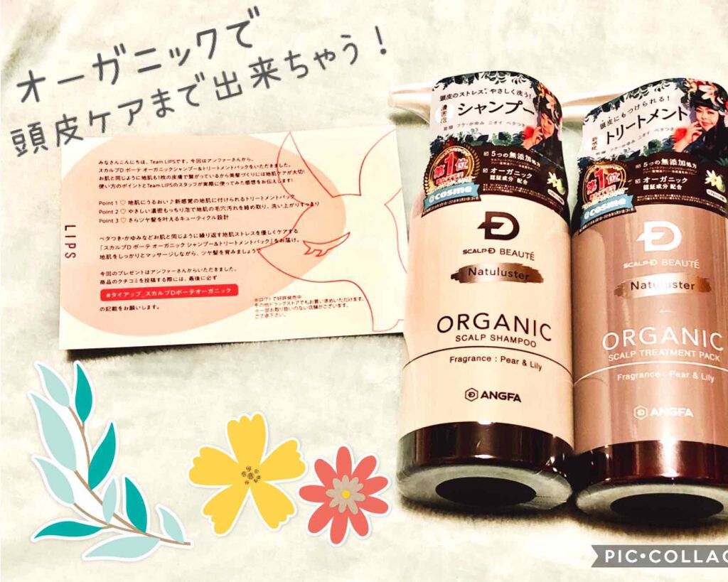 スカルプD ボーテ ナチュラスター スカルプシャンプー／トリートメントパック/アンファー(スカルプD)/シャンプー・コンディショナーを使ったクチコミ（1枚目）