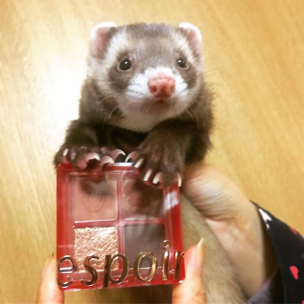 NEWリアルアイハンディパレット/espoir/アイシャドウパレットを使ったクチコミ（3枚目）