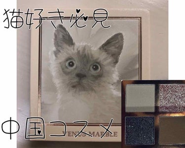 Venus Marble アイシャドウキャットシリーズ/Venus Marble/パウダーアイシャドウを使ったクチコミ（1枚目）