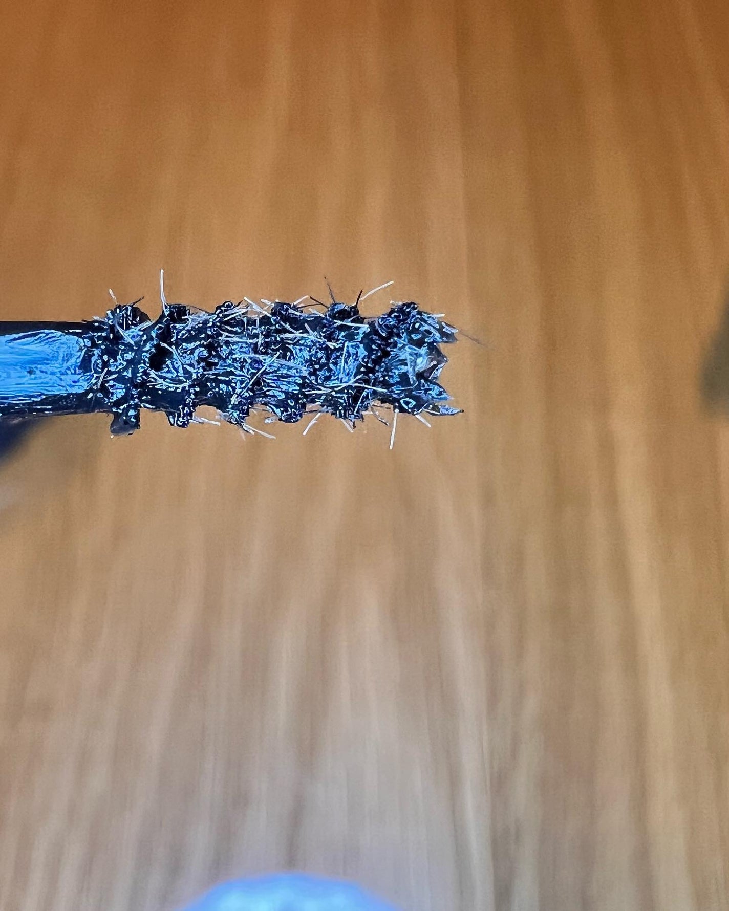 ミゼルエディ カールアップマスカラ/ミゼルエディ/マスカラを使ったクチコミ(2枚目)