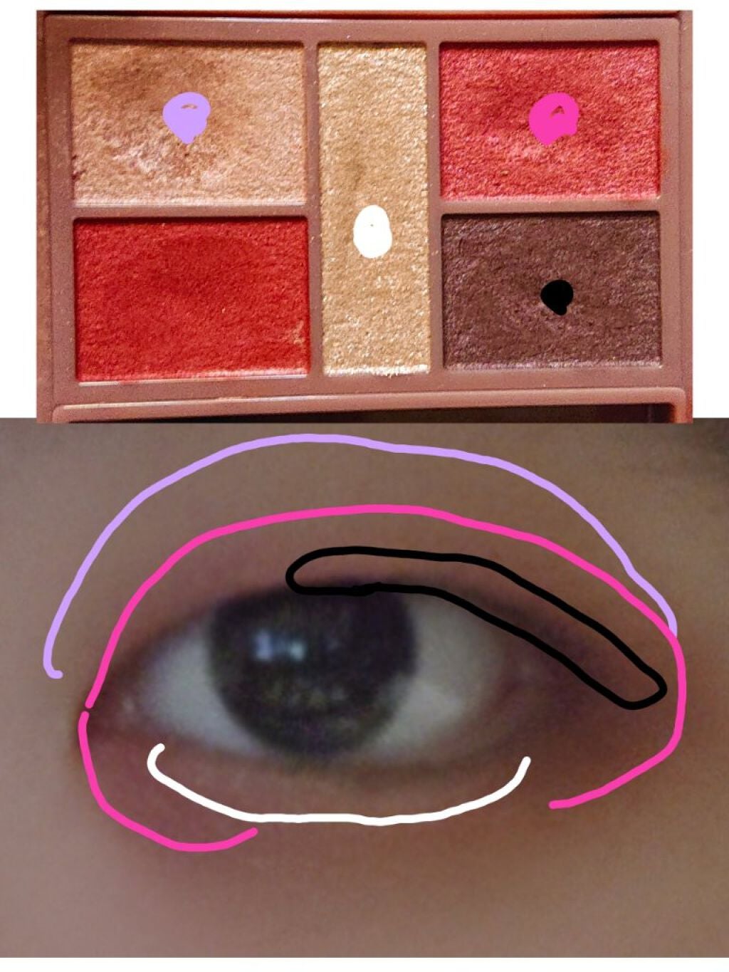 パーフェクトスタイリストアイズ/キャンメイク/アイシャドウパレットを使ったクチコミ(3枚目)