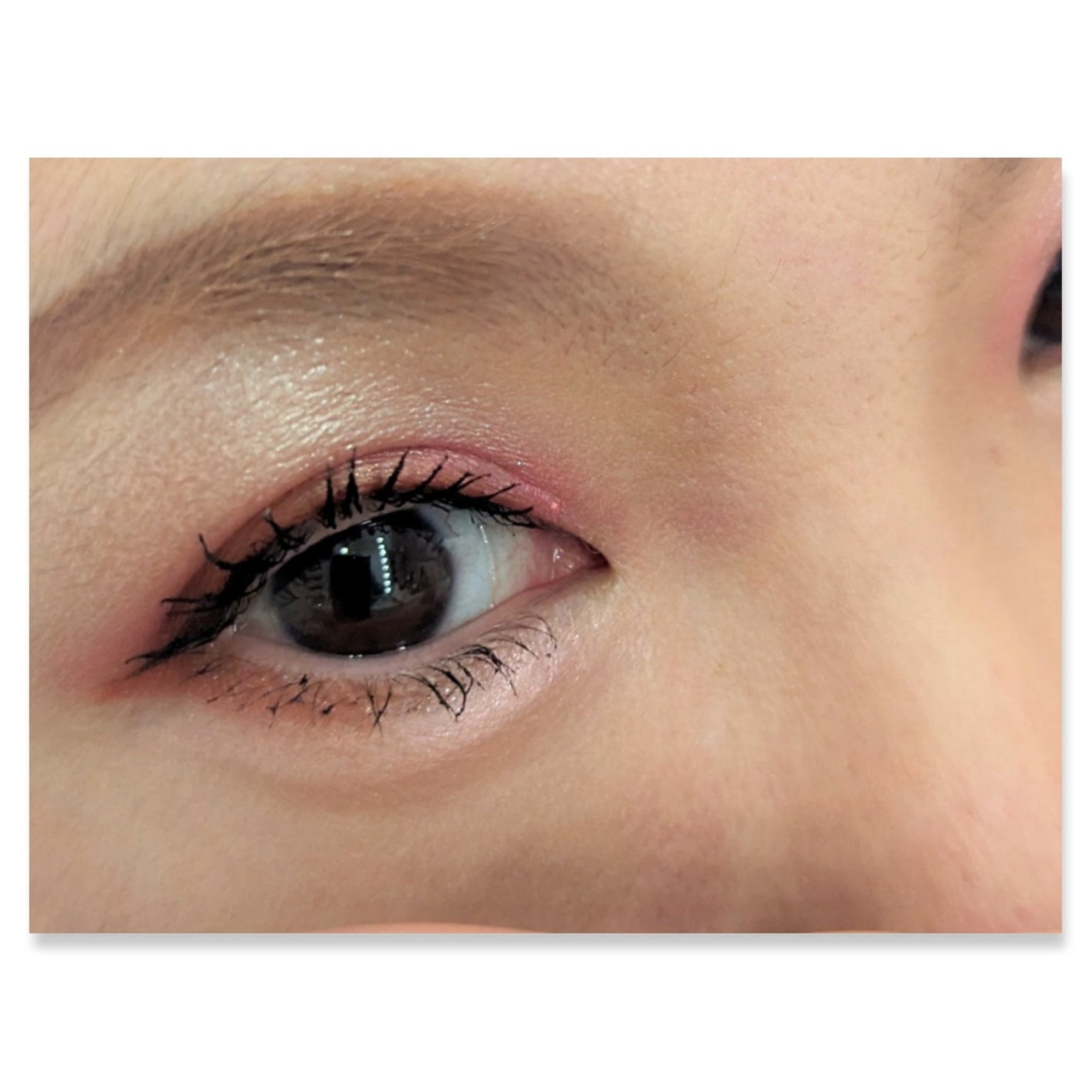 ID5カラーパレット/Linoue/アイシャドウパレットを使ったクチコミ(2枚目)