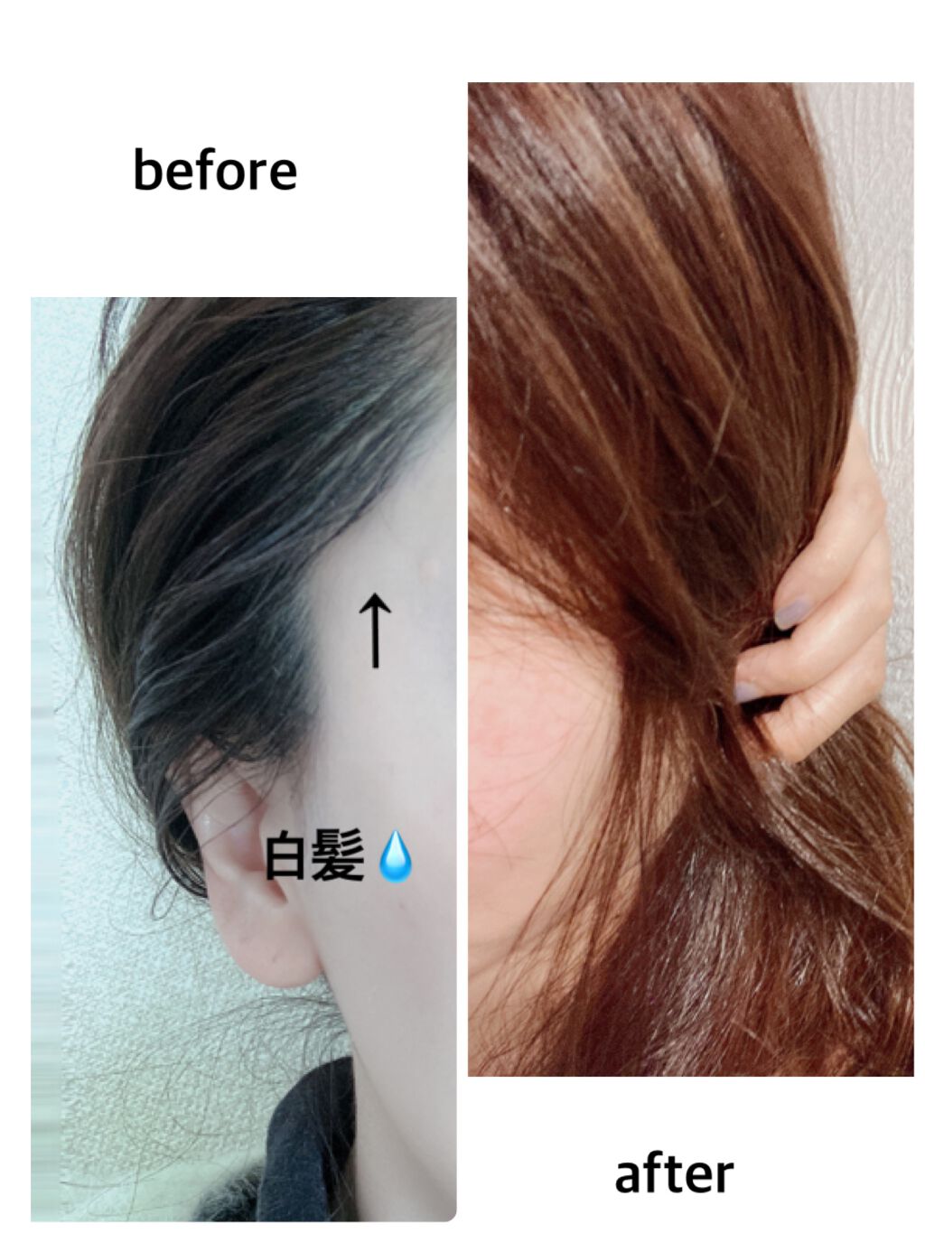 カラートリートメント Syossの口コミ 染まりよし バスタオルにつかない ダブルケ By Lavender 敏感肌 30代後半 Lips カラートリートメント Syossの口コミ 染まりよし バスタオルにつかない ダブルケ By Lavender 敏感肌 30代後半 Lips