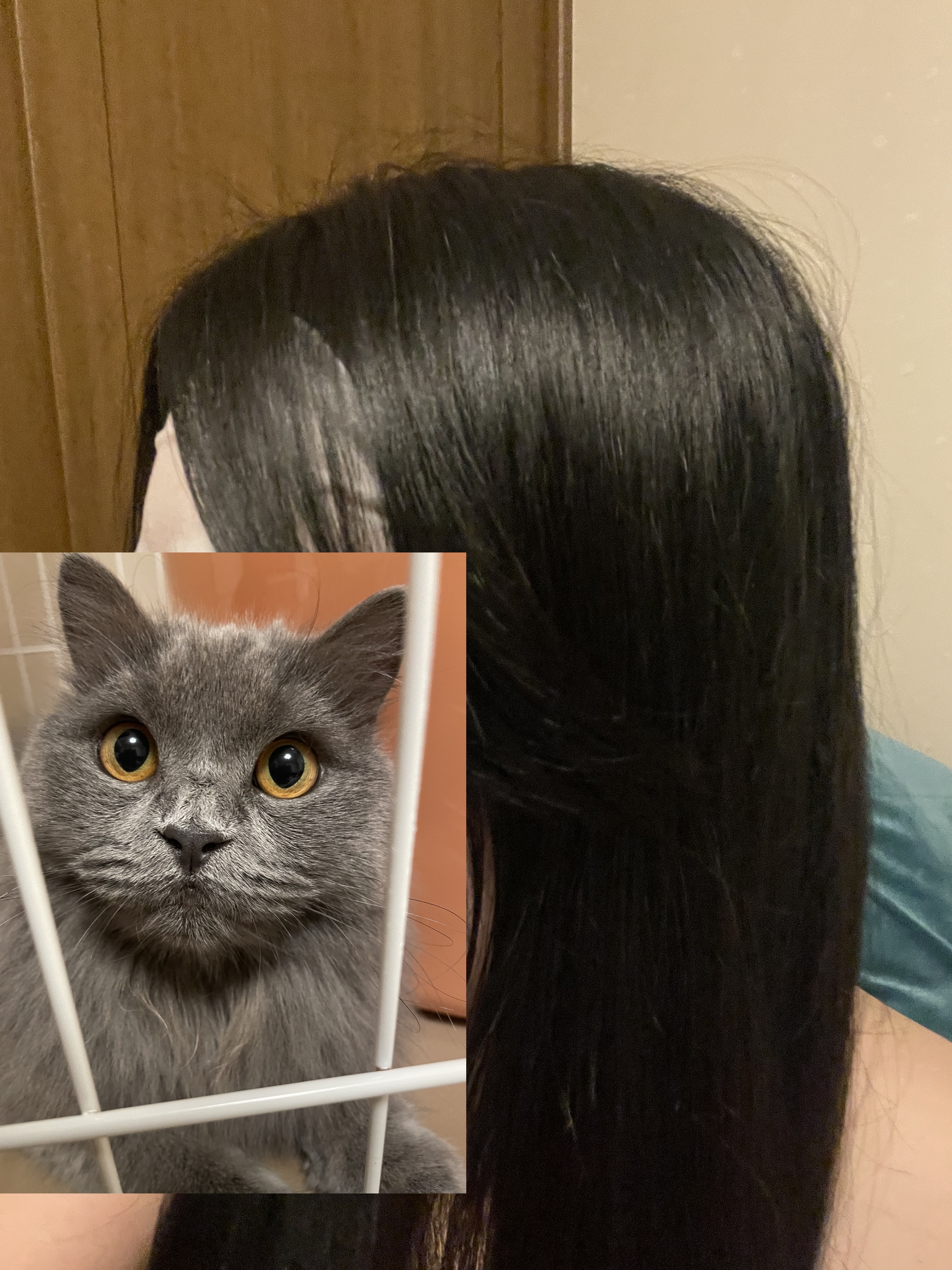 ミルキー髪色もどし/フレッシュライト/ヘアカラーを使ったクチコミ（3枚目）