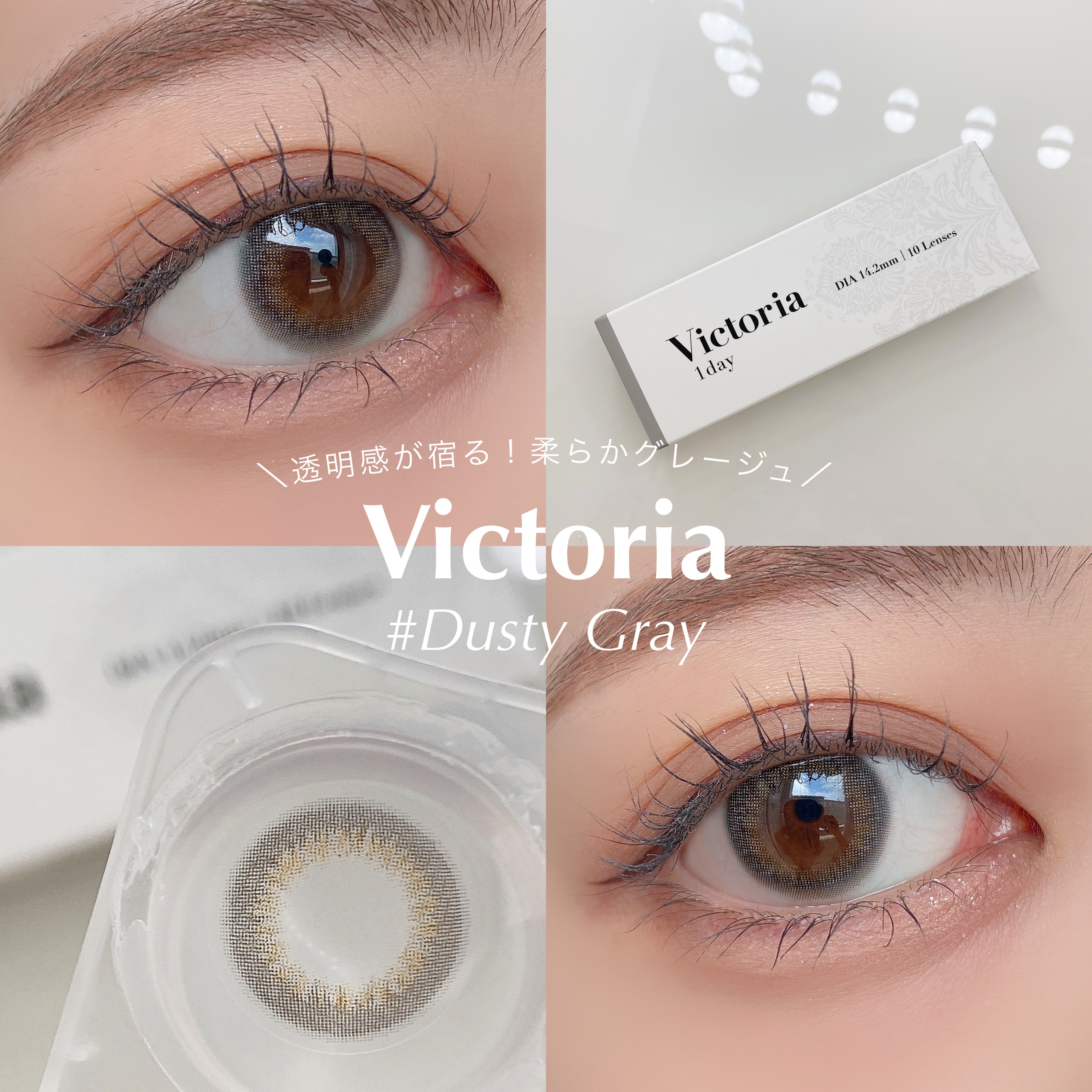 Victoria(ヴィクトリア）1day Dusty Gray/Victoria/ワンデー（１DAY）カラコンを使ったクチコミ（1枚目）