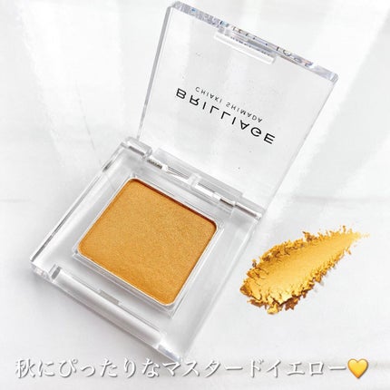 ワンダークリエイション /ブリリアージュ/単色アイシャドウを使ったクチコミ(2枚目)