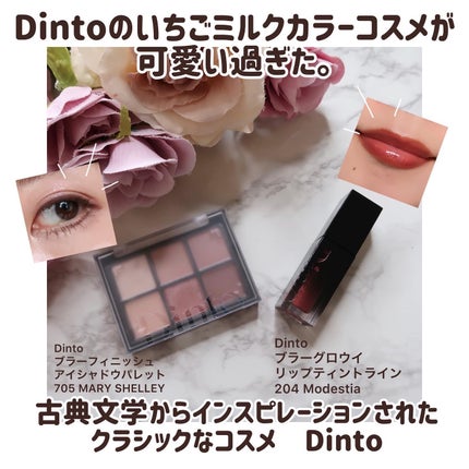 ブラーフィニシュシャドウパレット/Dinto/アイシャドウパレットを使ったクチコミ(1枚目)