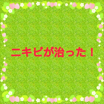 ハトムギ化粧水(ナチュリエ スキンコンディショナー R )/ナチュリエ/化粧水を使ったクチコミ(1枚目)