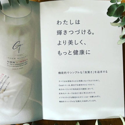 NMNサプリ INNER BEAUTY/INNER BEAUTY/健康サプリメントを使ったクチコミ(6枚目)