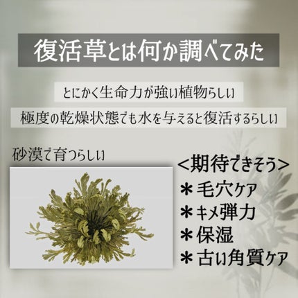 復活草PHAトナー スキンブースター/Abib /化粧水を使ったクチコミ(3枚目)