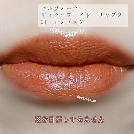 ディグニファイド リップス/Celvoke/口紅を使ったクチコミ(3枚目)