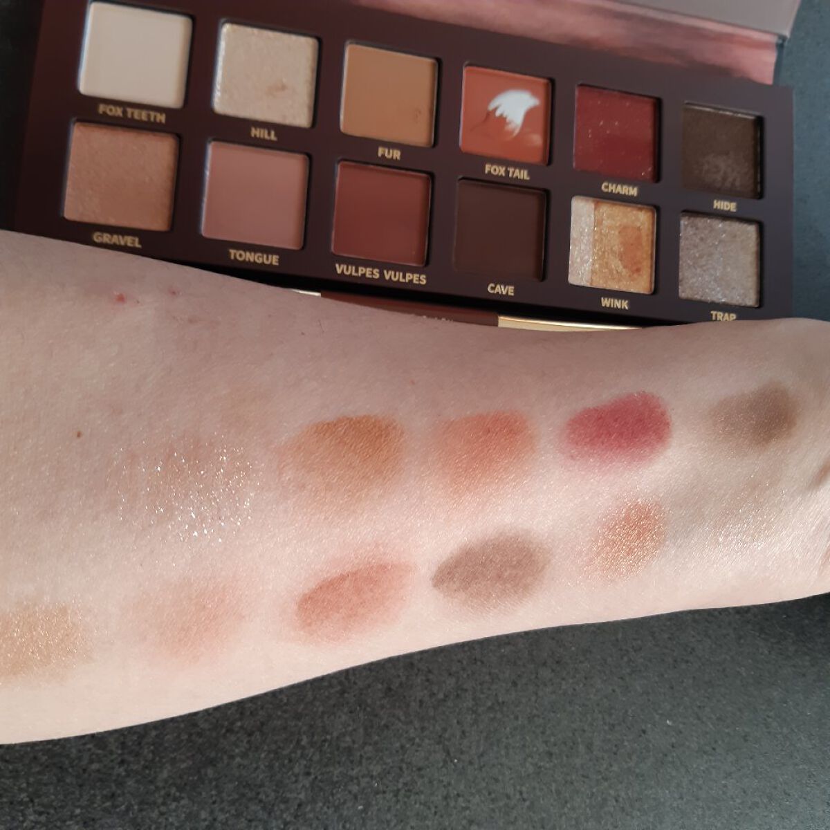 エクスプローラ12色 動物アイシャドウパレット/PERFECT DIARY/アイシャドウパレットを使ったクチコミ（3枚目）