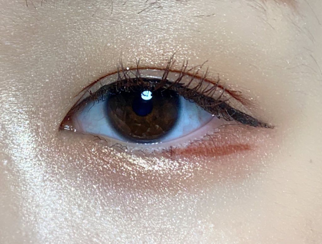 ティント リップグロス 06 terracotta sand/DECORTÉ/リップグロスを使ったクチコミ（2枚目）