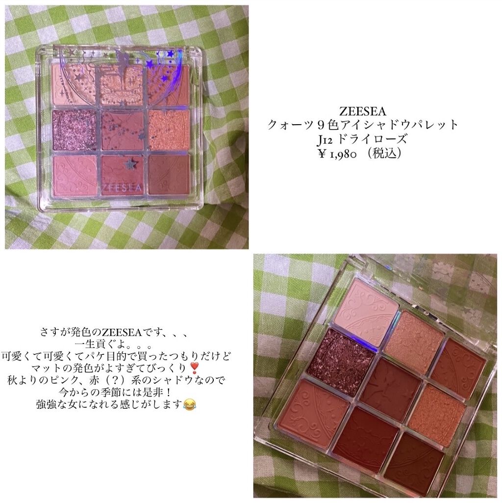 プロ アイ パレット/CLIO/アイシャドウパレットを使ったクチコミ（3枚目）