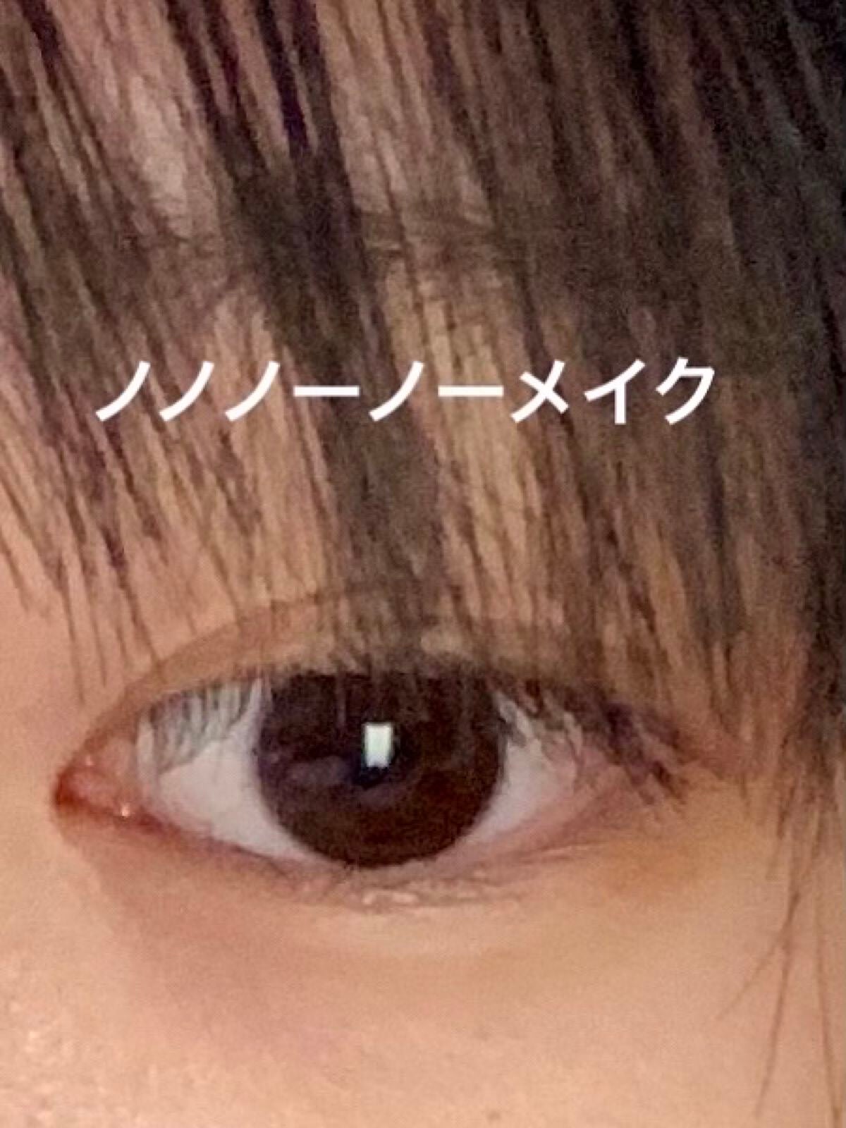 ラスティングマルチアイベース WP/キャンメイク/アイシャドウベースを使ったクチコミ(2枚目)