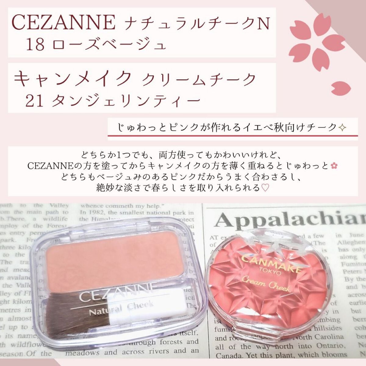 クリームチーク/キャンメイク/ジェル・クリームチークを使ったクチコミ(5枚目)