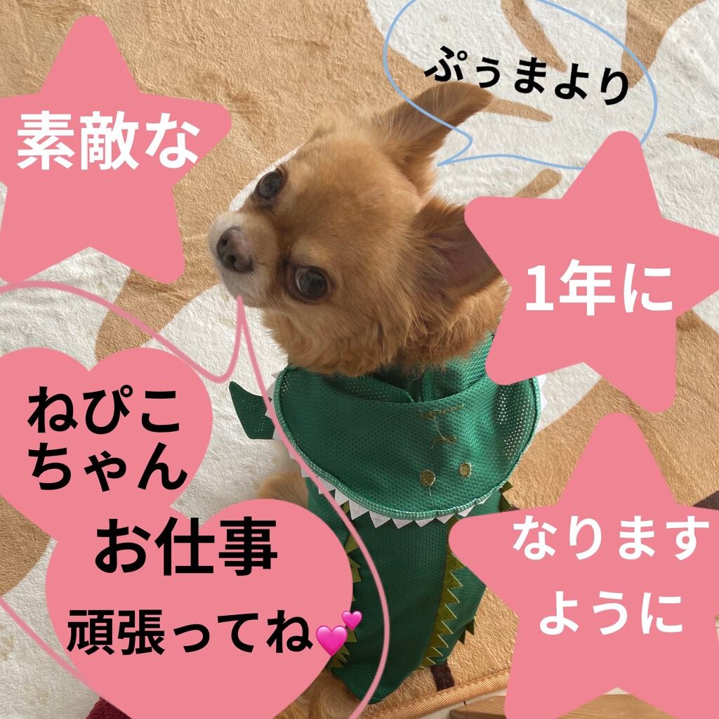 ザ・オンリーワン ルミナスカラー リップスティック/DOLCE&GABBANA BEAUTY/口紅を使ったクチコミ(7枚目)