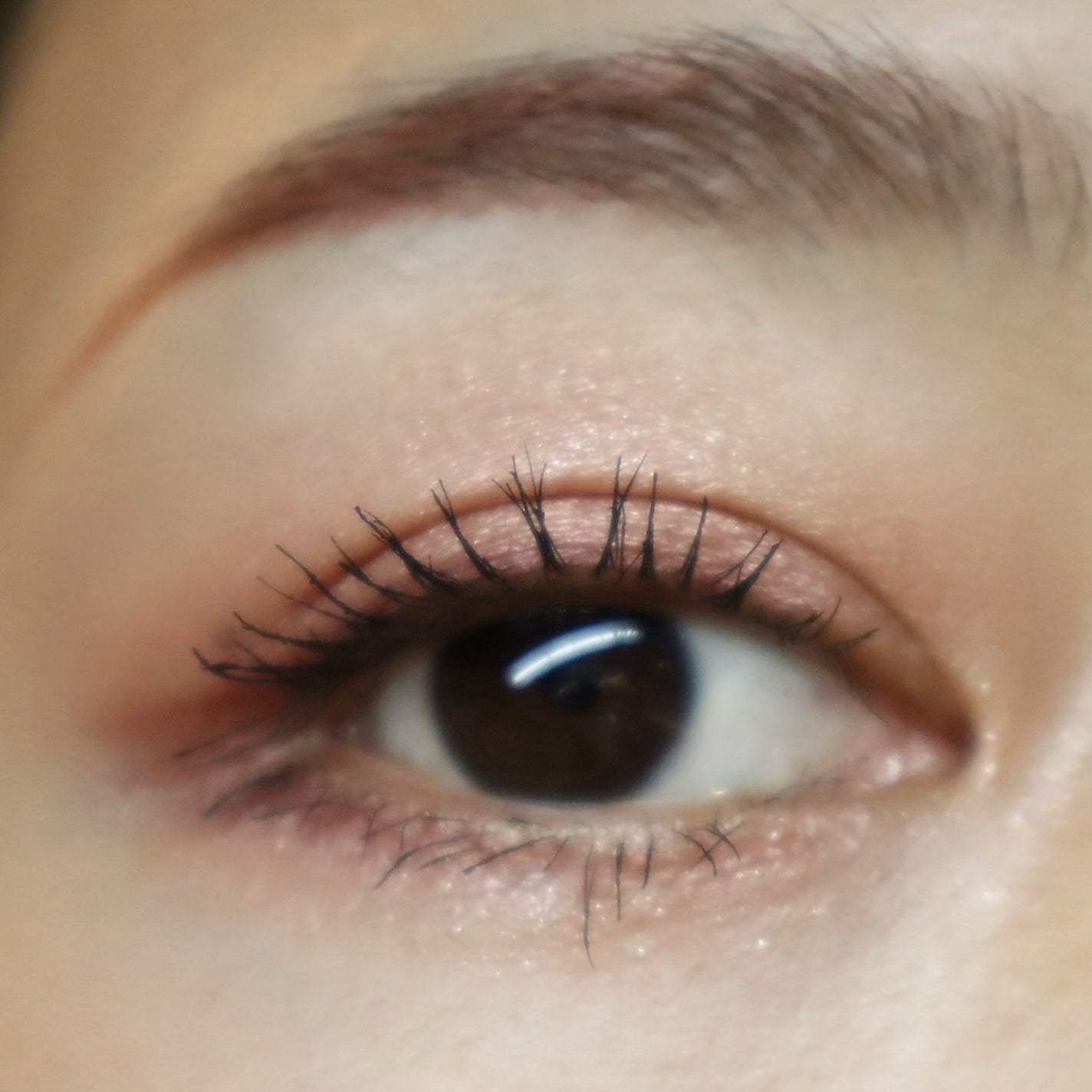 B.A 3Dオアシス アイカラー/B.A/パウダーアイシャドウを使ったクチコミ(5枚目)