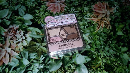 【旧品】パーフェクトスタイリストアイズ/キャンメイク/アイシャドウパレットを使ったクチコミ(1枚目)