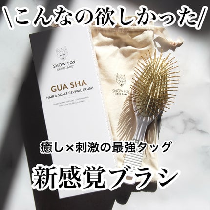プレミアム FOXカッサ ヘアブラシ/SNOW FOX SKINCARE/ヘアブラシを使ったクチコミ(1枚目)