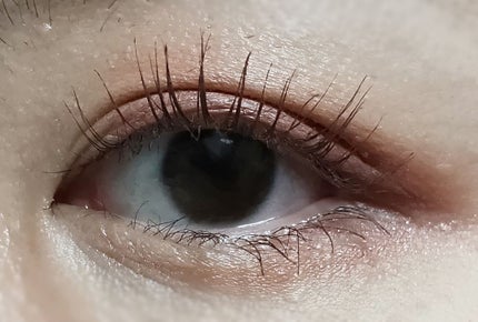 ピンク モーメント インク カラー カラ/PERIPERA/マスカラを使ったクチコミ(3枚目)