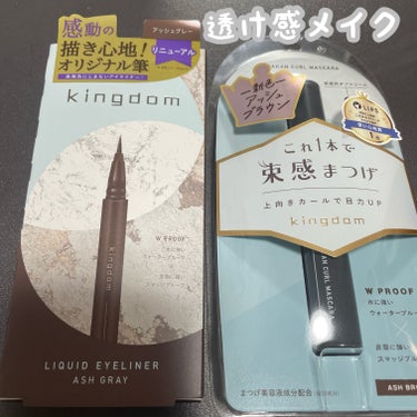 キングダム リキッドアイライナーR1/キングダム/リキッドアイライナーを使ったクチコミ（1枚目）