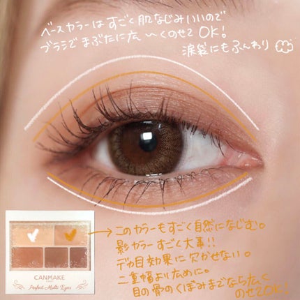 パーフェクトマルチアイズ/キャンメイク/アイシャドウパレットを使ったクチコミ(2枚目)