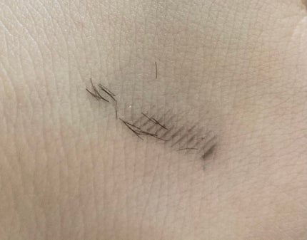 エテュセ アイエディション (マスカラベース)/ettusais/マスカラ下地を使ったクチコミ(2枚目)