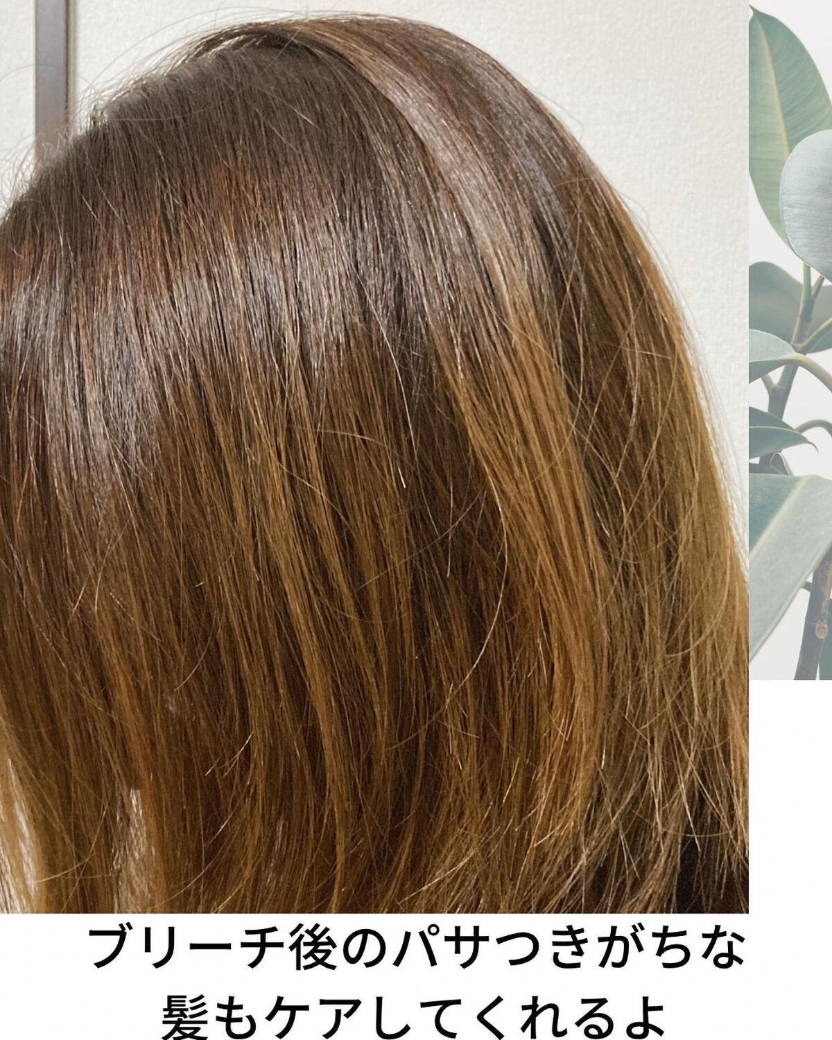 クレムドアン ブラウンクリームシャンプー/creme de Ann/市販シャンプーを使ったクチコミ(4枚目)