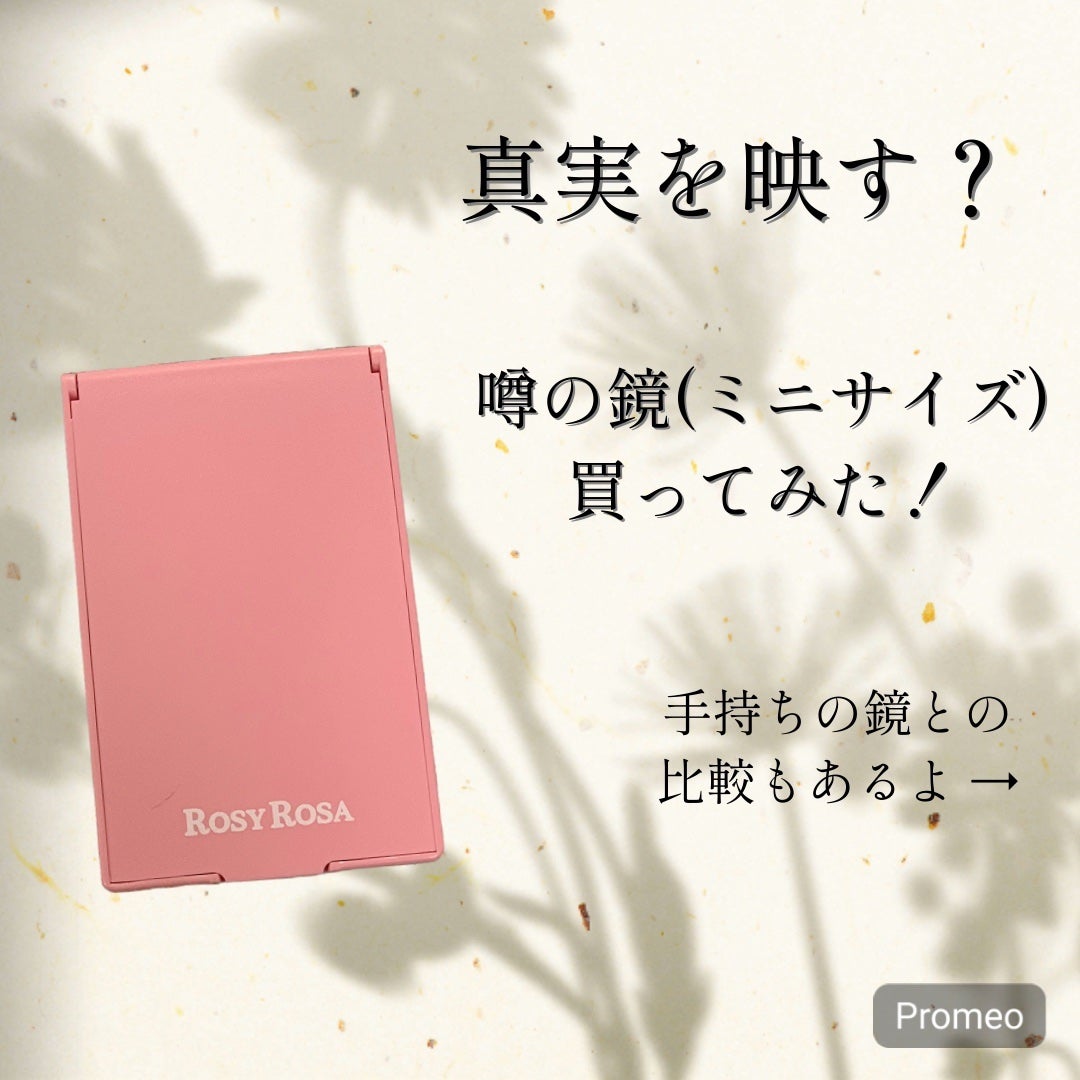 リアルックミラー/ロージーローザ/その他化粧小物を使ったクチコミ(1枚目)