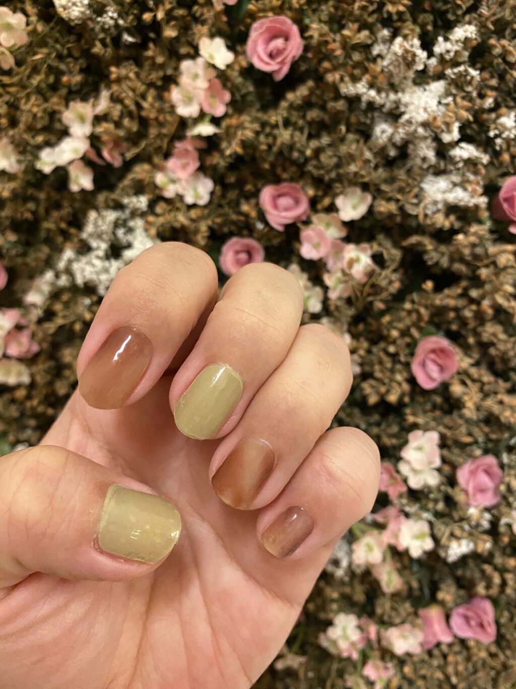 ジェルミーペタリー 11ピスタチオラテ/ジェルミーワン/ネイルシールを使ったクチコミ（2枚目）