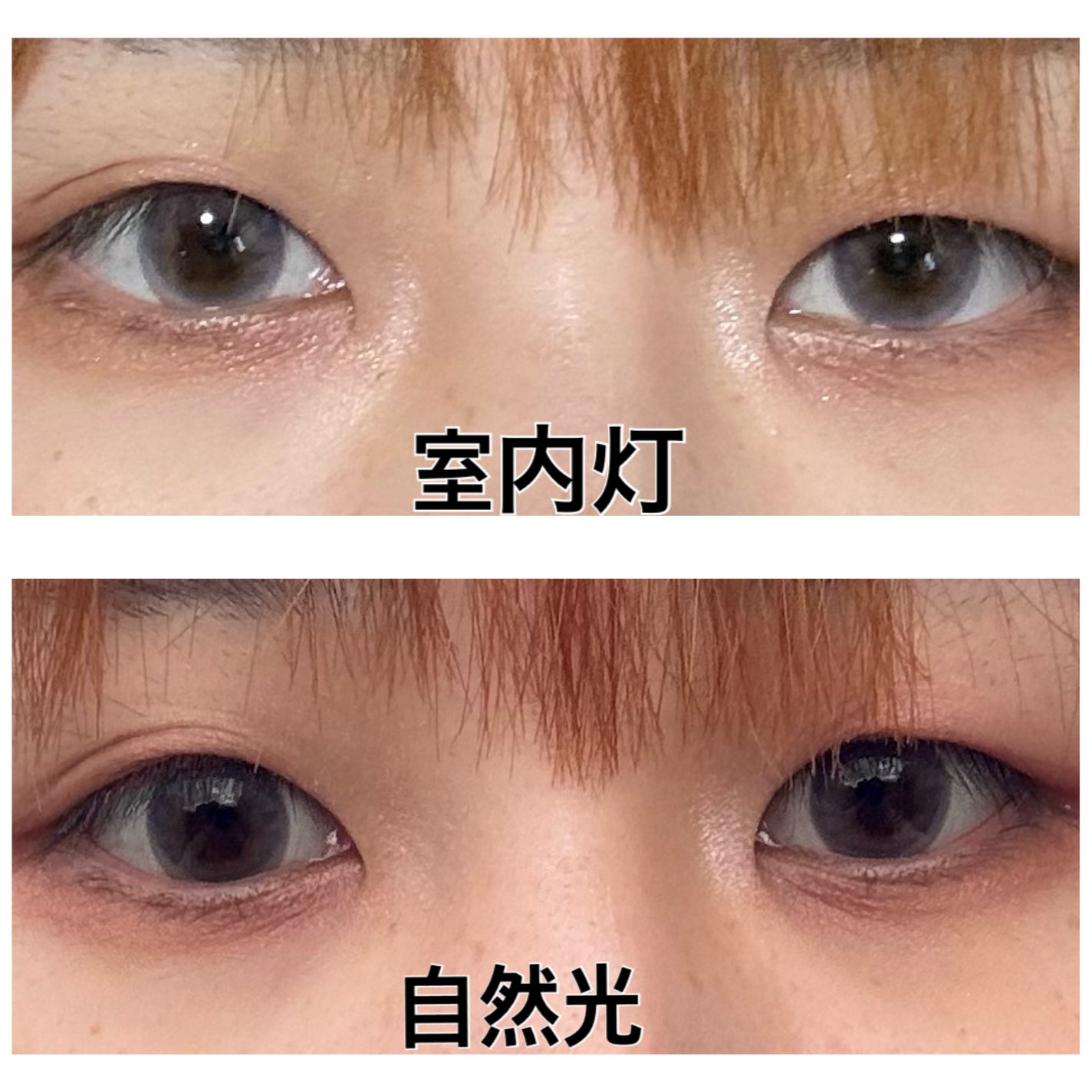 甘 on LIPS 「FrenchShine1DayLavender(10P)フレン..」(2枚目)