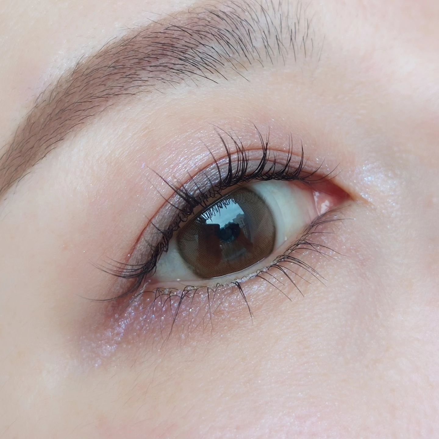 フェイスカラーパレット 509 アンティークドール/チャコット・コスメティクス/アイシャドウパレットを使ったクチコミ（3枚目）