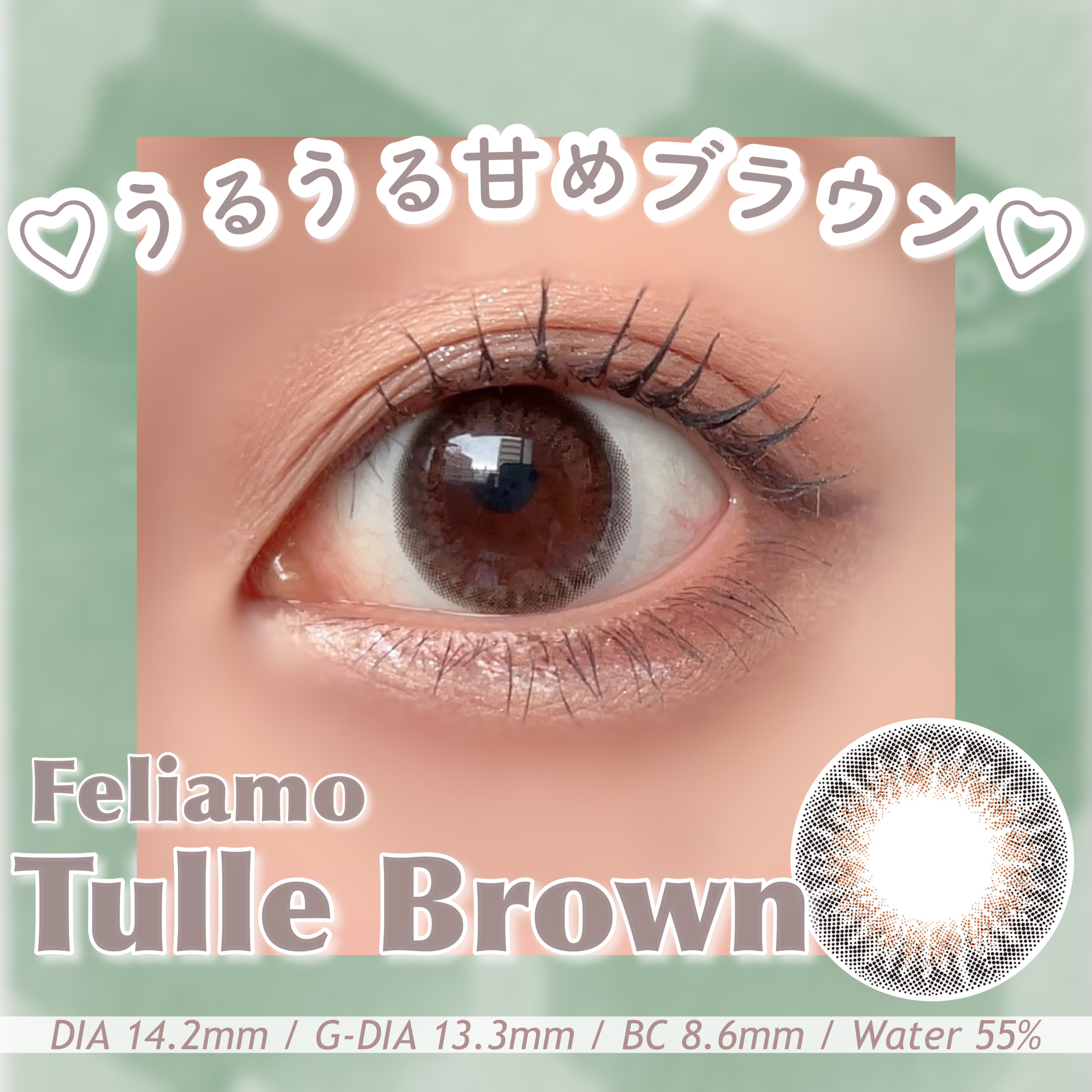 feliamo 1day チュールブラウン/feliamo/ワンデー（１DAY）カラコンを使ったクチコミ（1枚目）