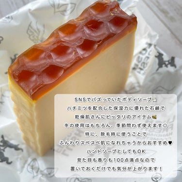 みつばちマーチ ラッシュの使い方を徹底解説 Lush 除毛時に最適な保湿力重視のボディソープを紹介 By りちゃ𓆗 乾燥肌 代前半 Lips みつばちマーチ ラッシュの使い方を徹底解説 Lush 除毛時に最適な保湿力重視のボディソープを紹介 By りちゃ𓆗 乾燥肌 代前半 Lips