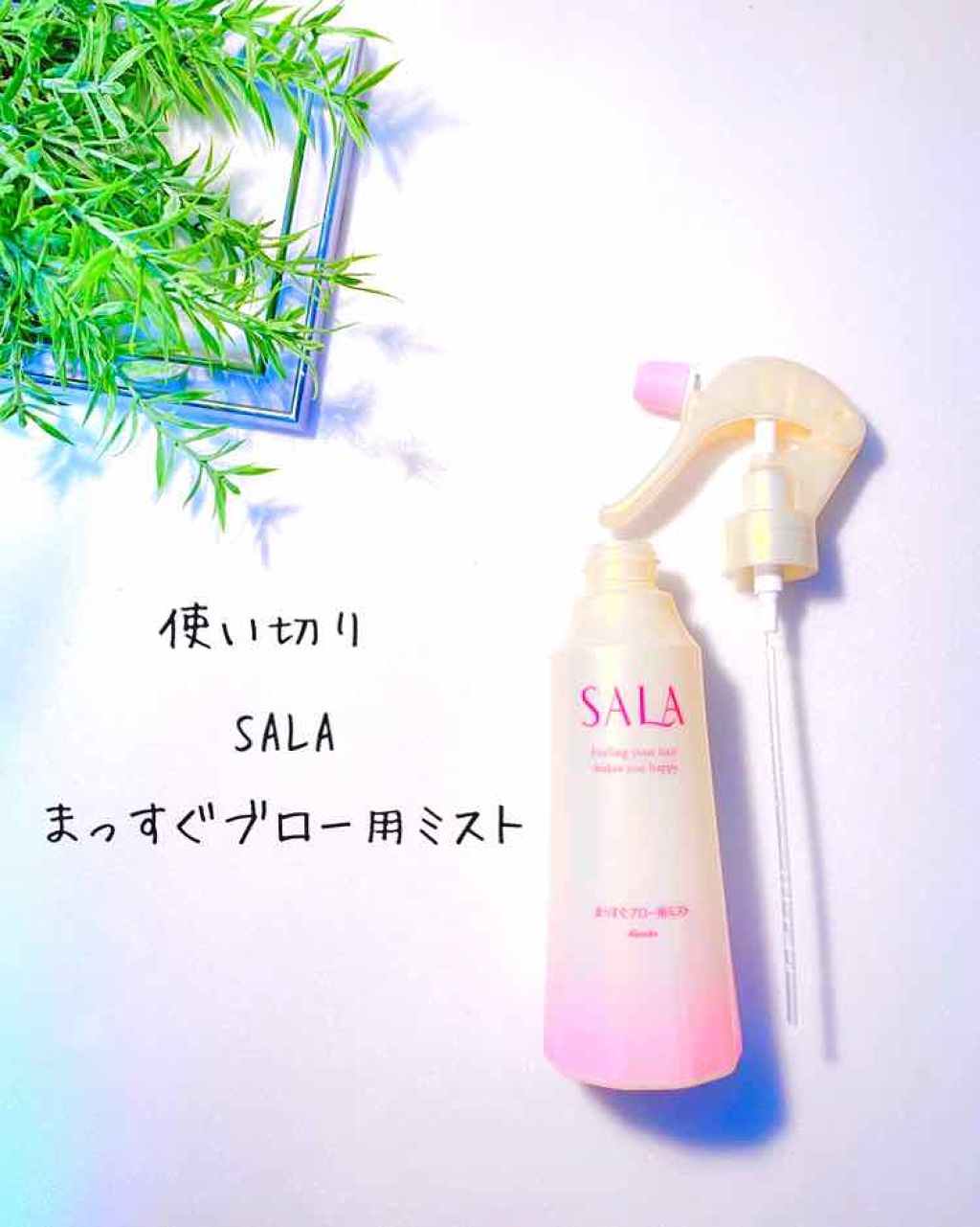 葉酸400 Ca・Feプラス/井藤漢方製薬/健康サプリメントを使ったクチコミ（3枚目）