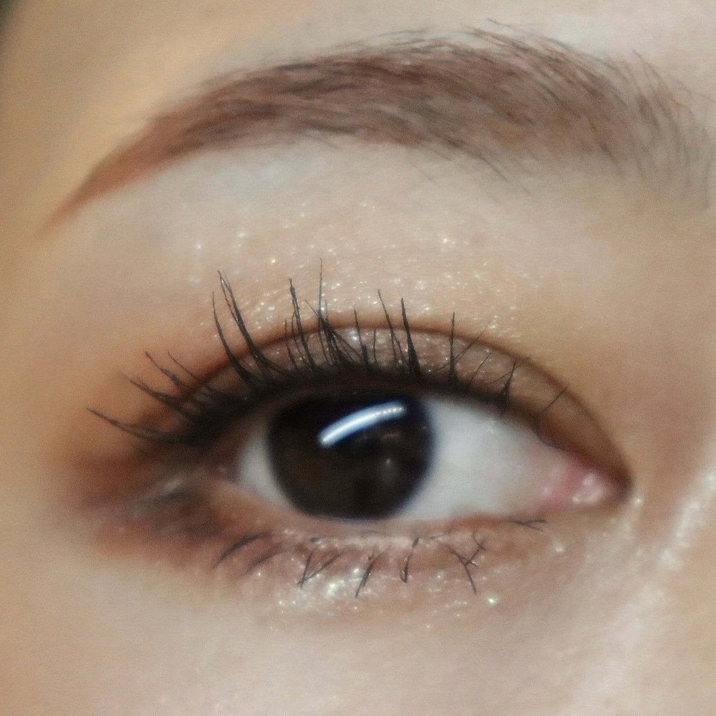 SUQQU アイ&フェイス コンパクト/SUQQU/アイシャドウパレットを使ったクチコミ(7枚目)